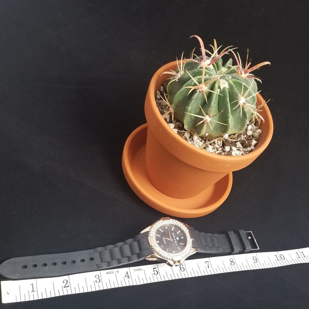 BELLA & ROSE QUARTZ WATCH - Picture 5 of 5